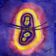 Cell Division. Artist Lianne Todd. Watercolour on Aquabord. 6x6". $175.00, framed.